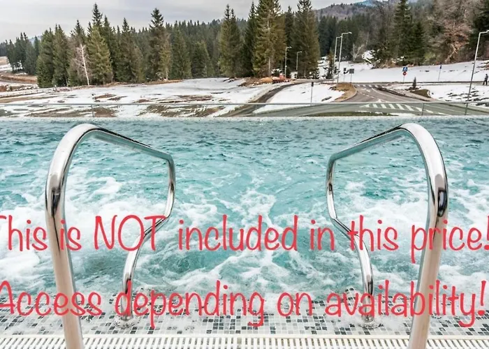 Zen Loft With Forest View In Silver Mountain Braşov